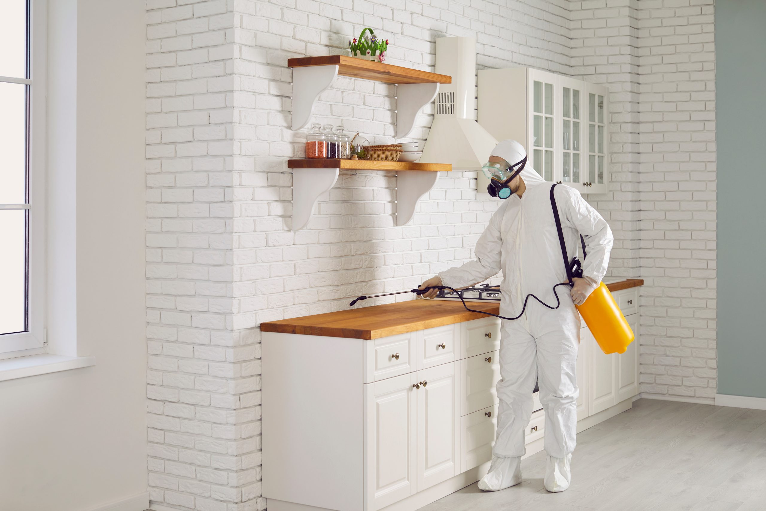 Domestic Services
